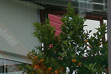 04_Tende in trazione